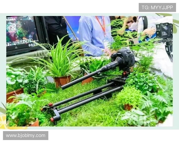 武汉攀岩队勇攀高峰极限运动联赛的辉煌历程与突破之路