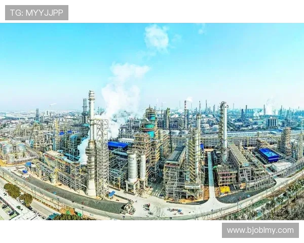 重庆飞盘队实力对比深度解析与其他队伍的竞争优势分析