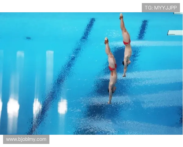 探索跳水竞技魅力与运动员心路历程的全面深度解读专题剖析视角篇