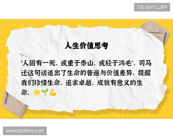 张宁的奋斗历程与人生哲学：从平凡到卓越的启示与思考